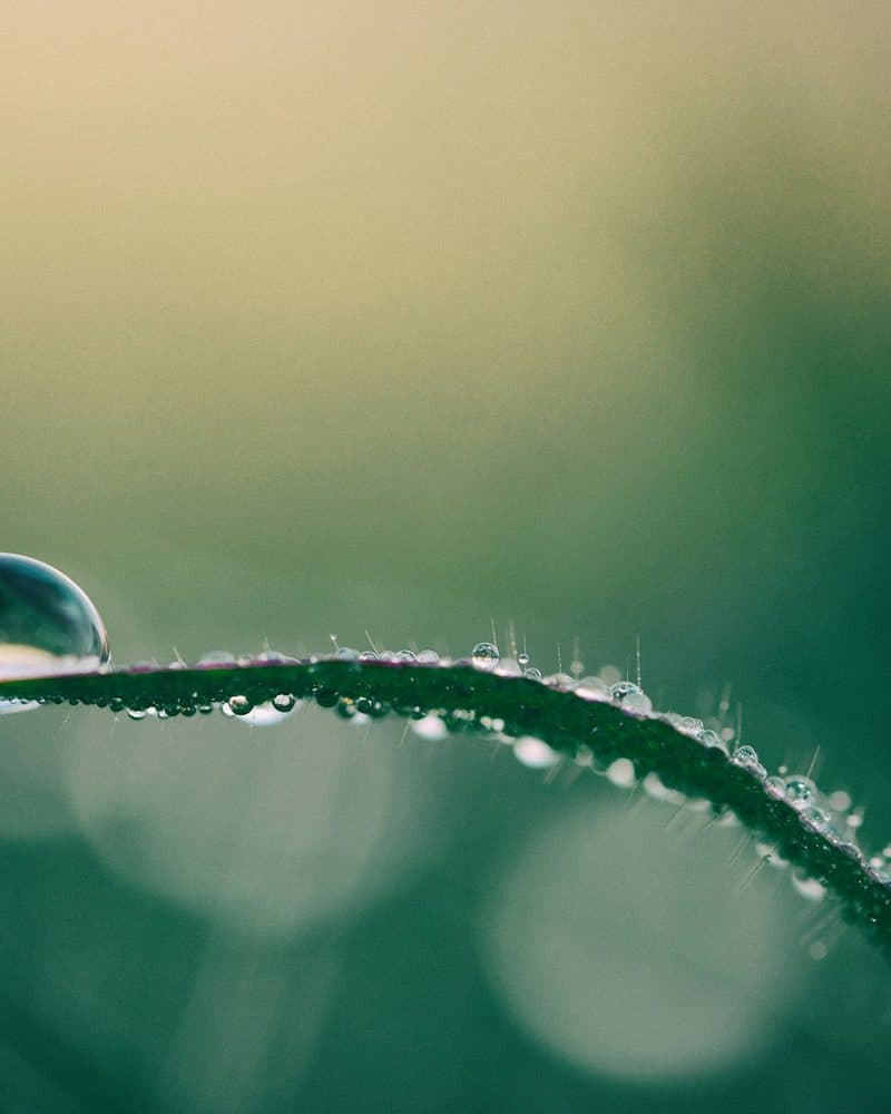 Spiritual artwork featuring Indian mythological symbolism