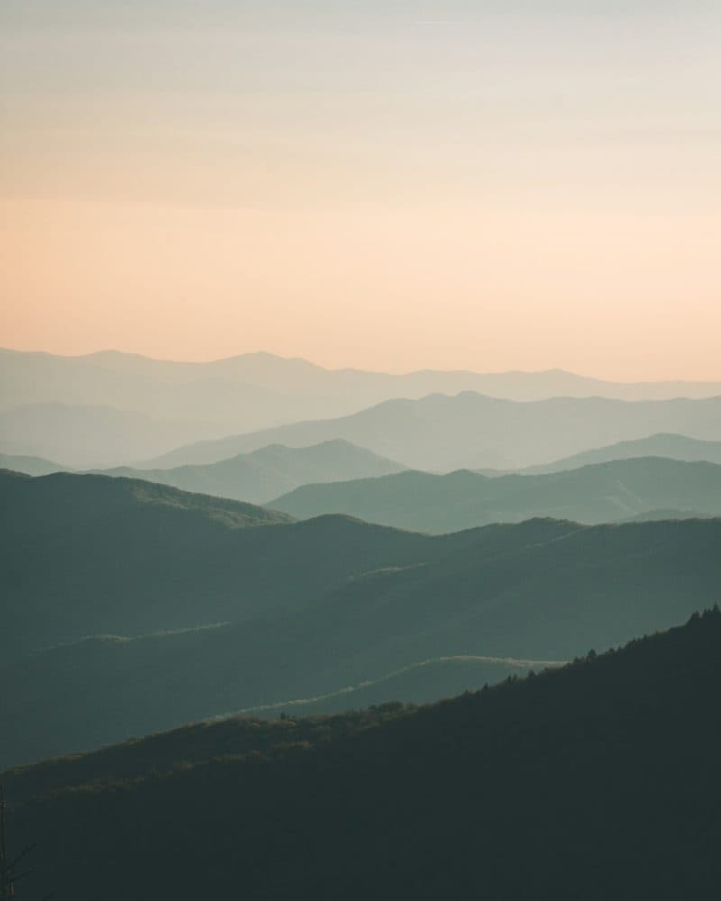 Original illustration created using traditional techniques